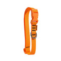 Coleira Ajustável Fluor Laranja para Cães