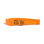 Coleira Ajustável Fluor Laranja para Cães