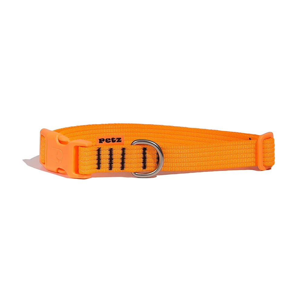 Coleira Ajustável Fluor Laranja para Cães