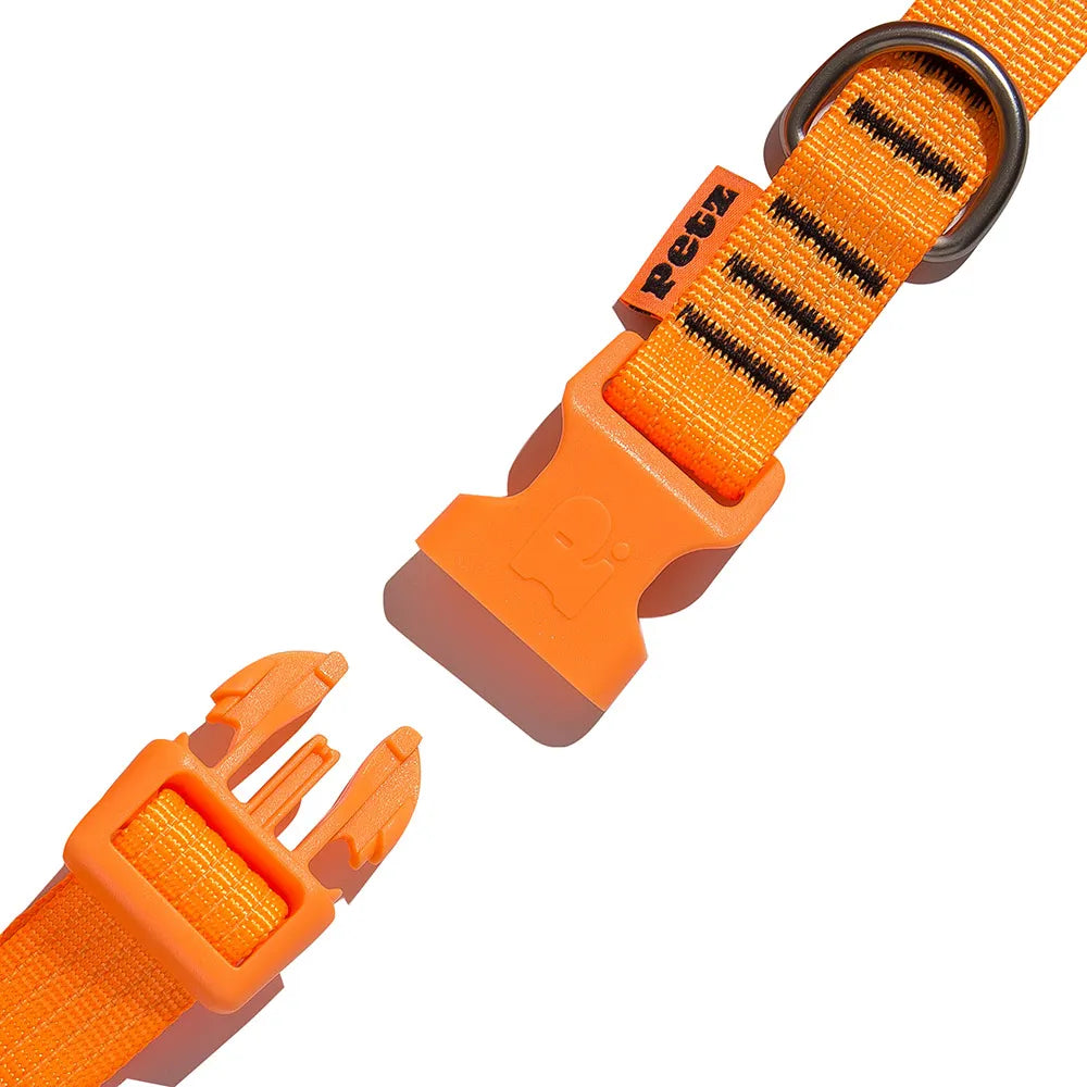 Coleira Ajustável Fluor Laranja para Cães