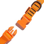 Coleira Ajustável Fluor Laranja para Cães