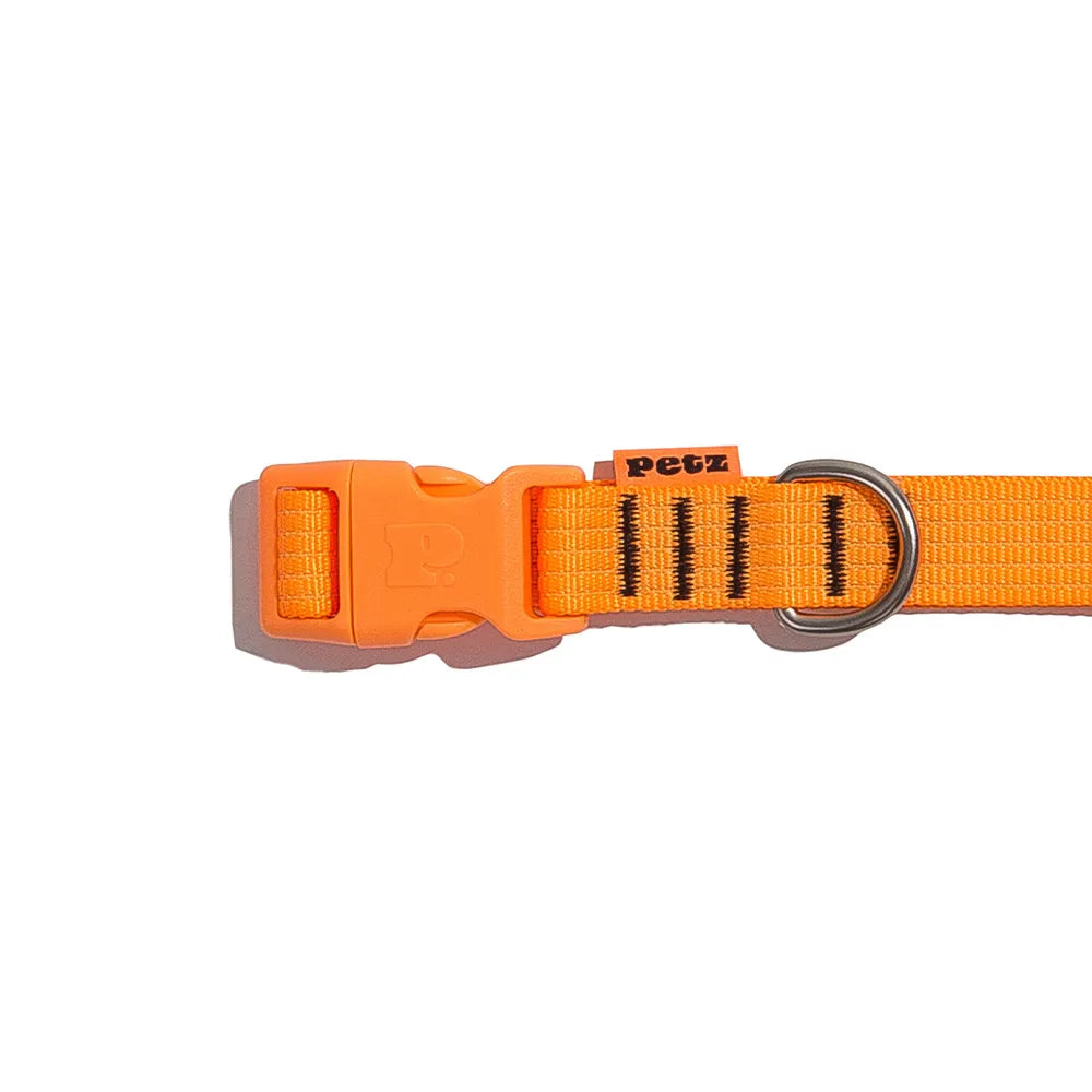 Coleira Ajustável Fluor Laranja para Cães